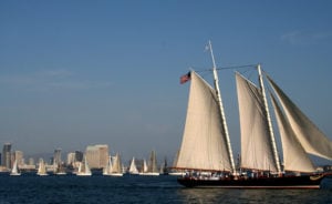 Downtown Skyline with Sail Boats -Courtesy Joanne DiBona SanDiego.org